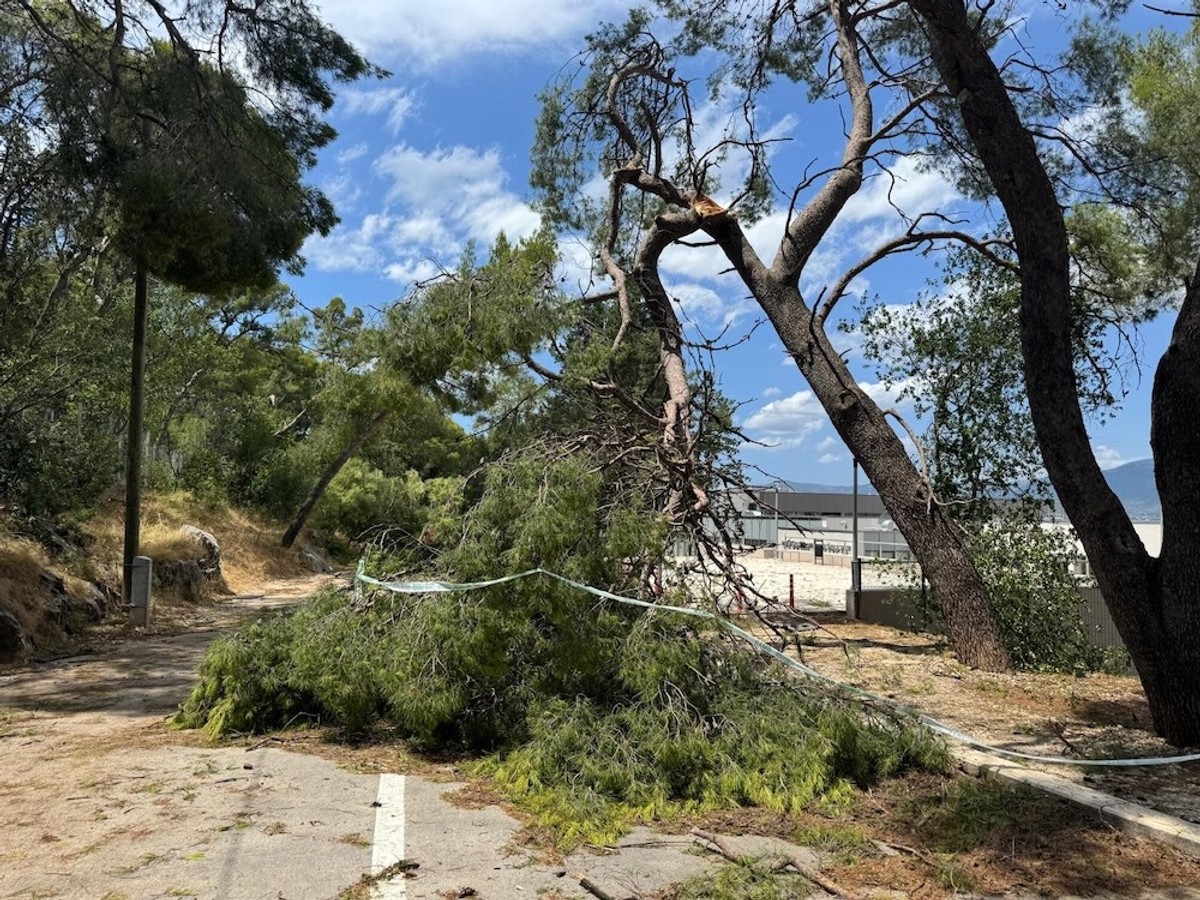 Marjan | foto: Veljko Martinović