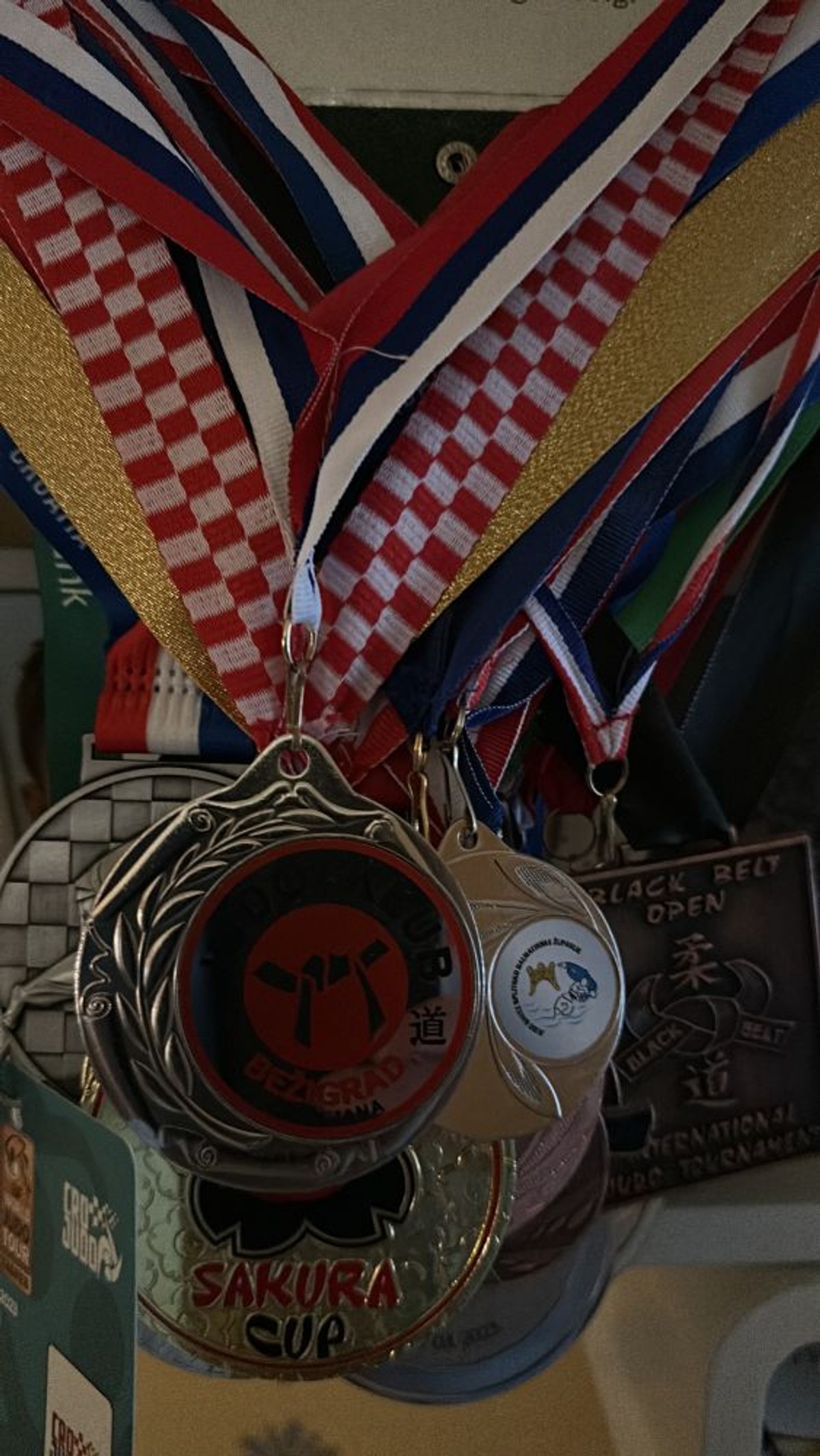 Roko Jelenković Gogošević | foto: JK Pujanke i Privatni album