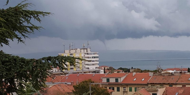 VIDEO Pogledajte pijavicu u Bračkom kanalu