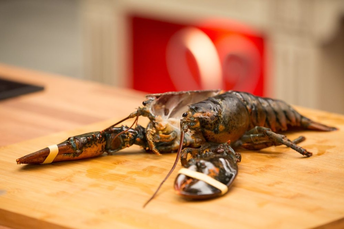 CHEF PAŽANIN OBJAŠNJAVA: Koja je razlika između hlapa i jastoga te škampi i kozica