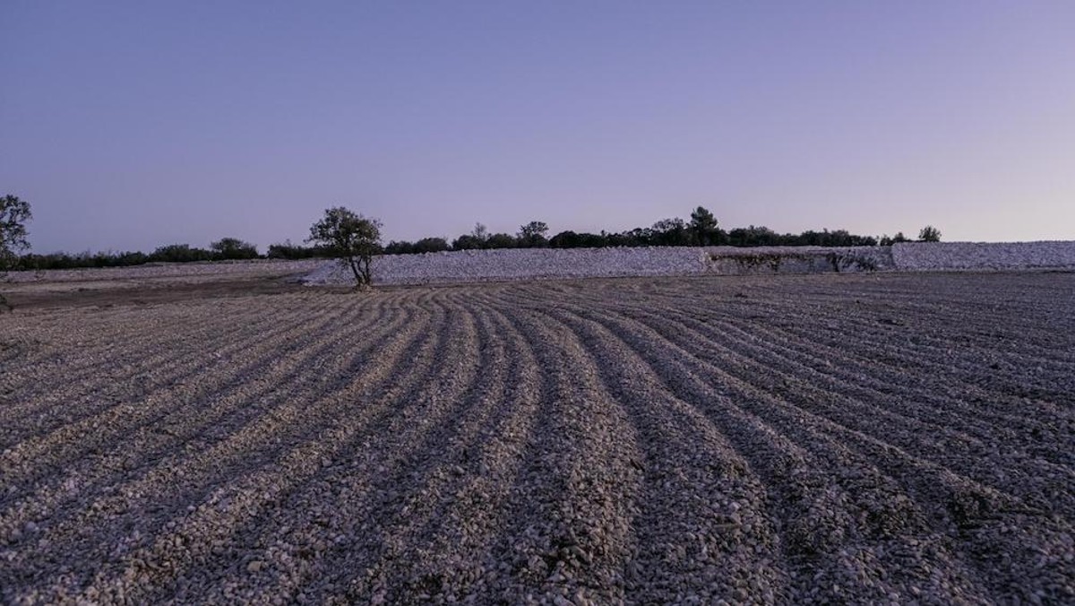 INSPIRATIVNA PRIČA Nadomak Splita niče investicija od 15 milijuna eura 