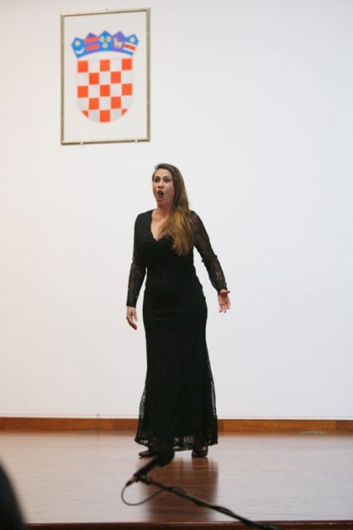 Moja rijeka suza I Ivica Čavka