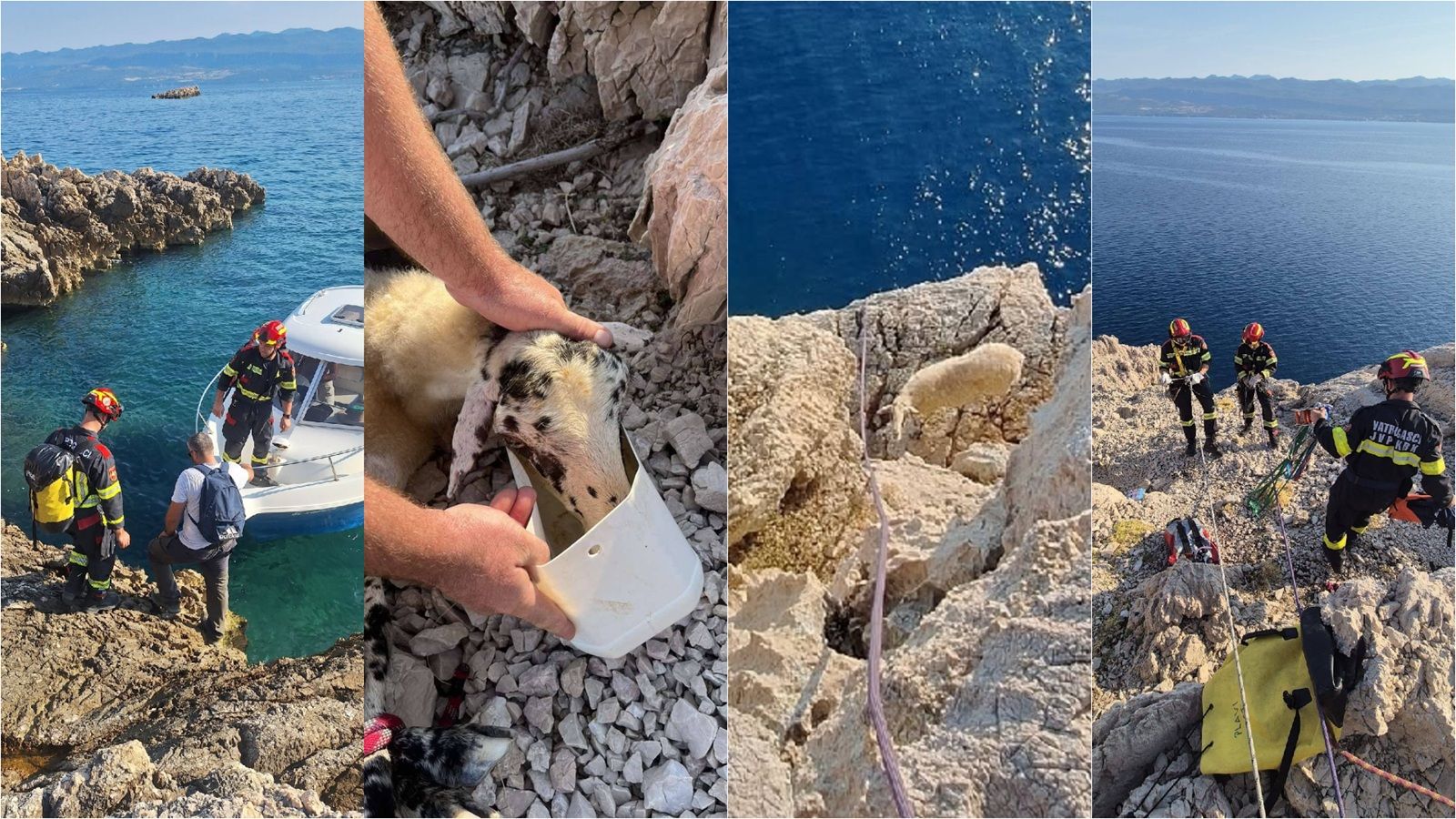 TOPLA PRIČA S KRKA Vatrogasci spasili ovcu koja se zaglavila na litici, uginula bi od žeđi