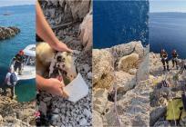 TOPLA PRIČA S KRKA Vatrogasci spasili ovcu koja se zaglavila na litici, uginula bi od žeđi