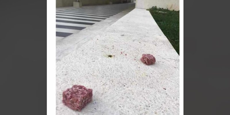 OPREZ! Splitom 3 razasute kocke s otrovom za kućne ljubimce