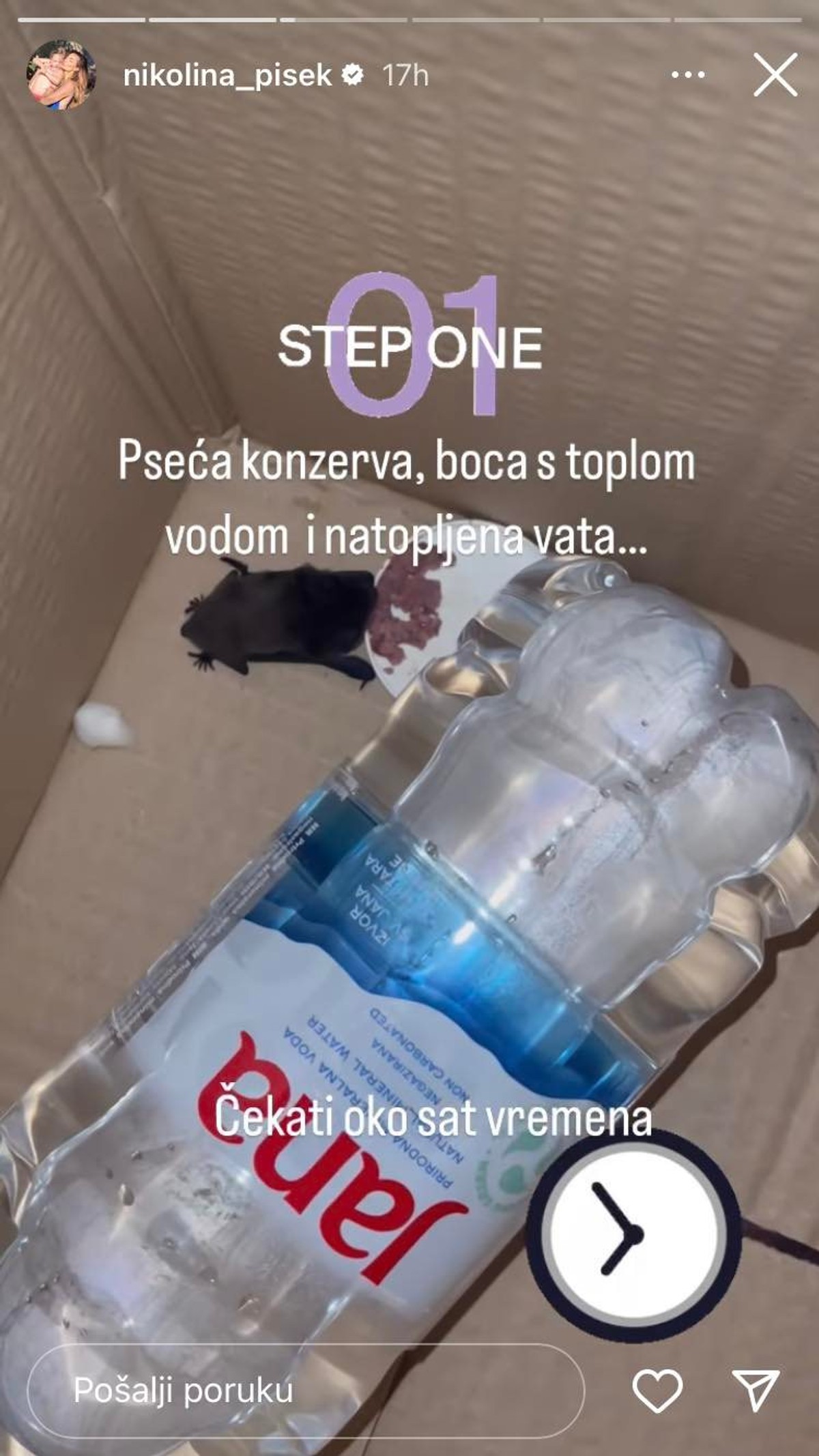 Nikolina Ristović spasila ozlijeđenog šišmiša, pogledajte što je napravila