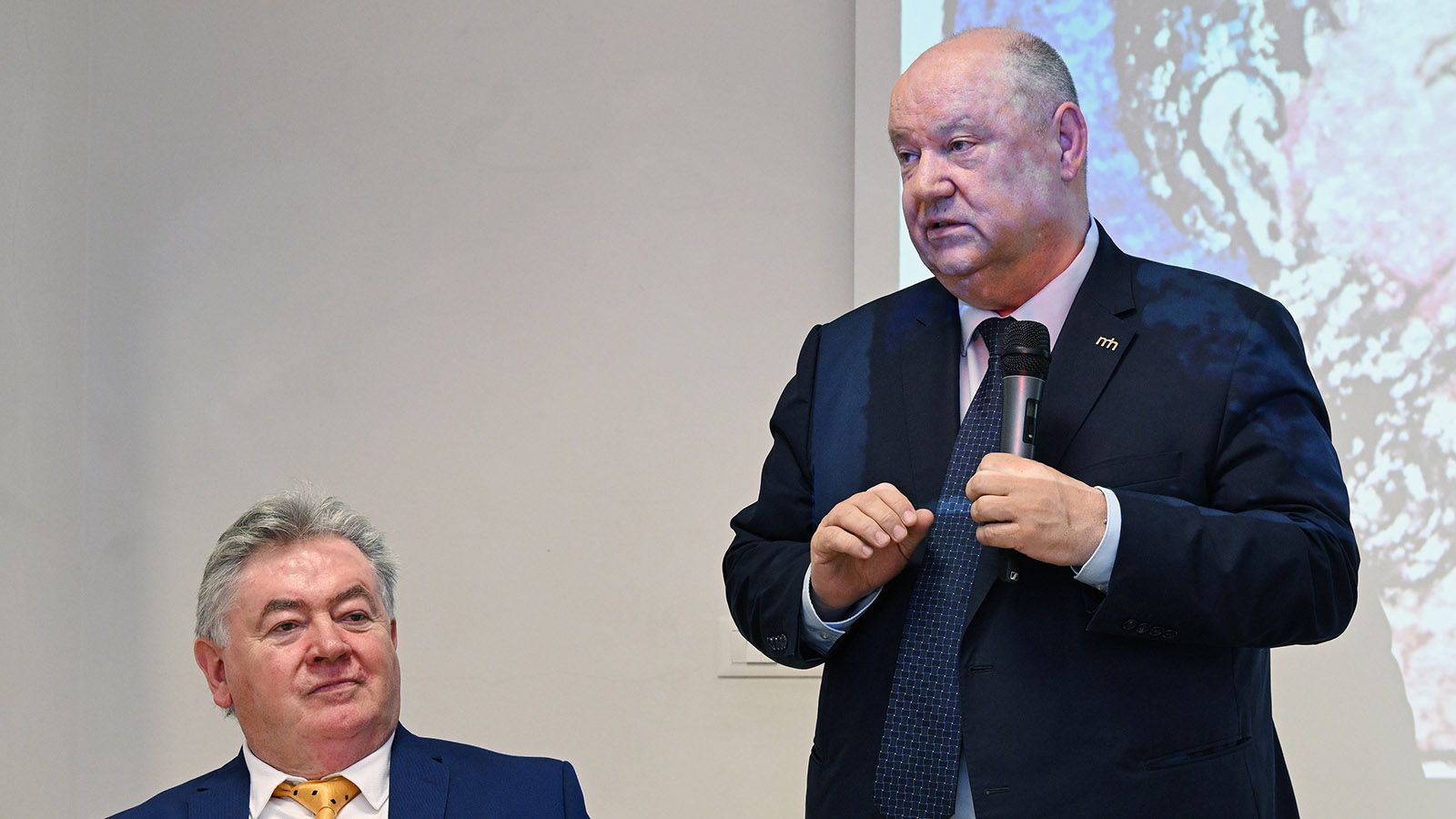 Damir Zorić
