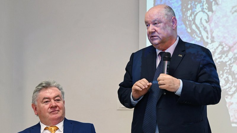 Damir Zorić