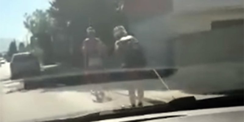 VIDEO IZ KAŠTELA 'Brajo, jesu maniti ovi stranci!'