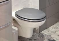 Bacate vlažne maramice u WC? Ova navika mogla bi vas skupo koštati
