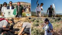FOTO/VIDEO: 230 volontera kampanje Boranka ovu subotu nastavilo s pošumljavanjem požarišta u Planom kod Trogira