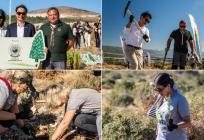 FOTO/VIDEO: 230 volontera kampanje Boranka ovu subotu nastavilo s pošumljavanjem požarišta u Planom kod Trogira
