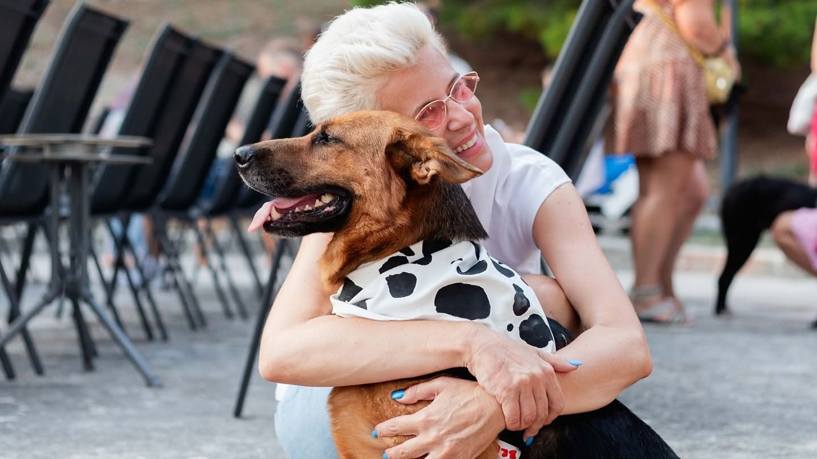 Bestie po treći put stižu u kino: 'Lassie se vraća kući' u Ljetnom kinu Bačvice, u publici i psi koji čekaju udomljavanje
