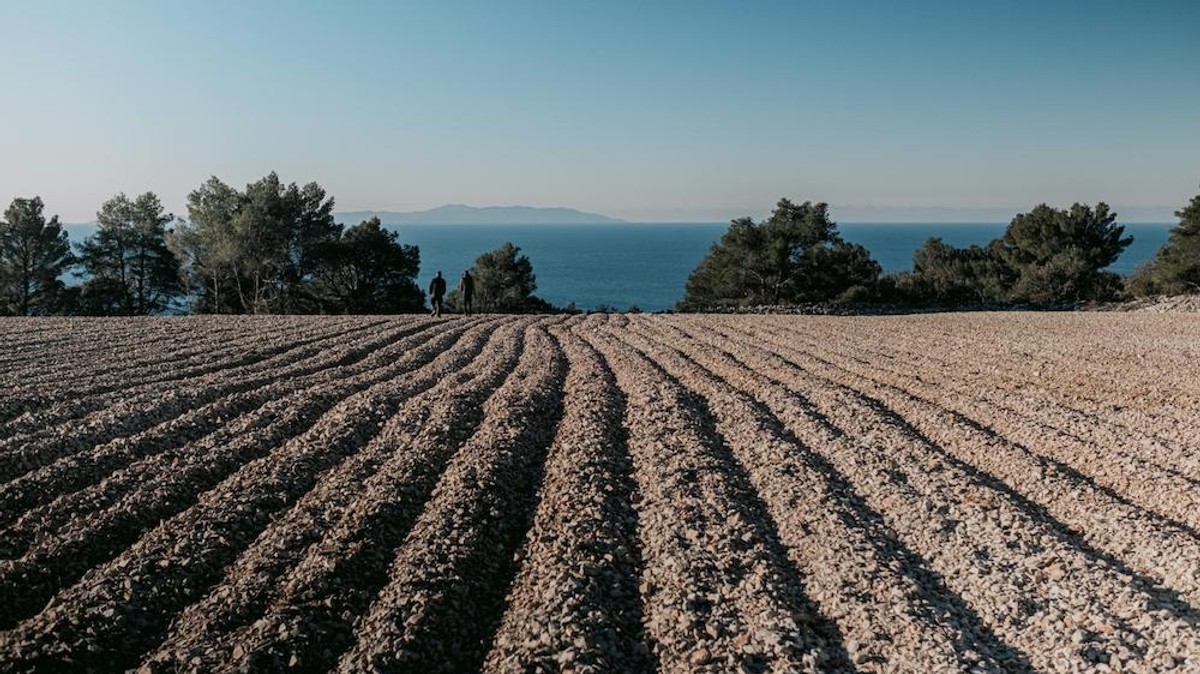 INSPIRATIVNA PRIČA Nadomak Splita niče investicija od 15 milijuna eura 