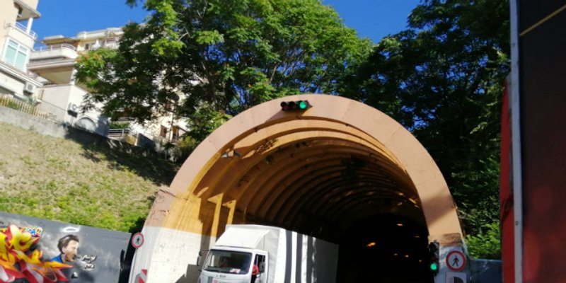 UPOZORENJE DR. KALILIĆA: Agresivni pajasen napao je i Marjanski tunel!