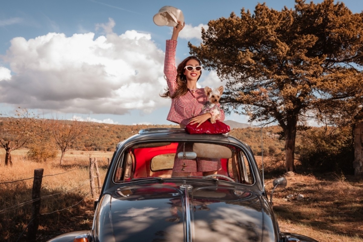 Paleta jesenskih trendova iz Jokerovog portfolija