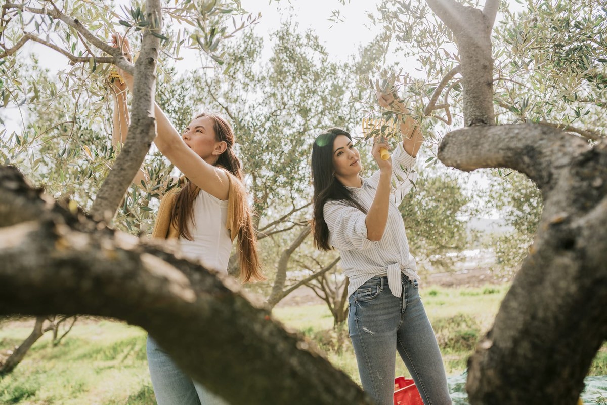 Oznaka Local Host magnet je za turiste koji žele autentično iskustvo, evo kakvim domaćinima pripada