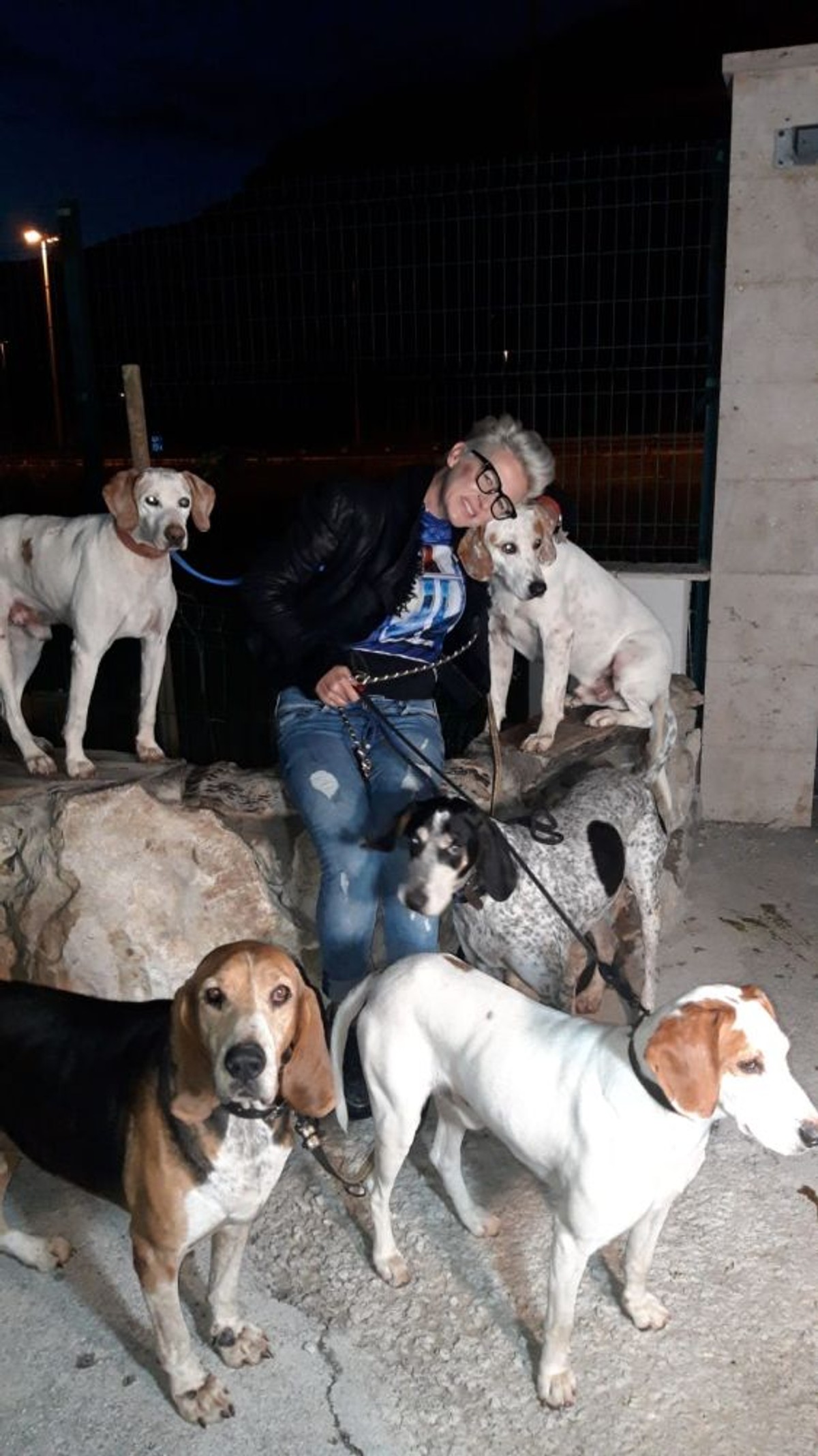 PSI SU ZAVRŠILI U SKLONIŠTU ZDENKE FILIPOVIĆ 'Uhranjeni su, u odličnom stanju, ali nisu cijepljeni i čipirani' 