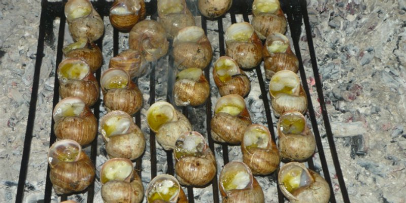 DALMATINSKA KUŽINA: Špuži na gradelan