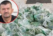 Zdravko iz Muća ponovno oduševio Splićane: Na Peškariji besplatno dijelio domaću blitvu