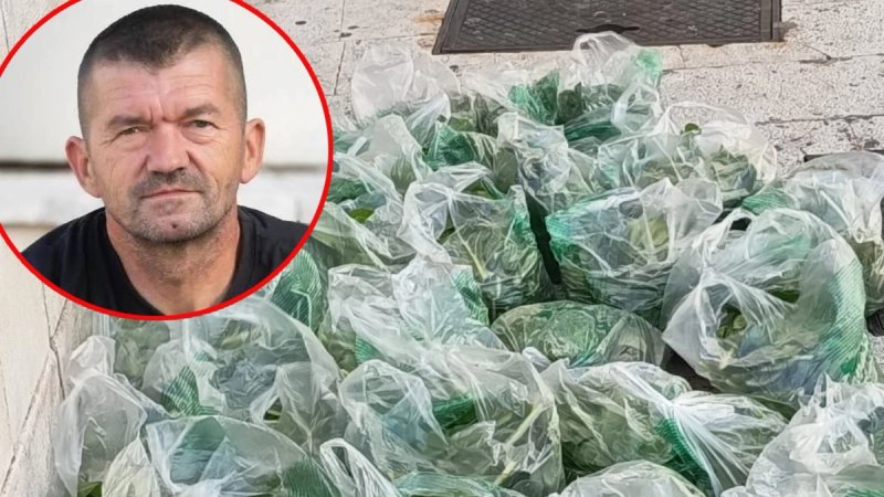 Zdravko iz Muća ponovno oduševio Splićane: Na Peškariji besplatno dijelio domaću blitvu