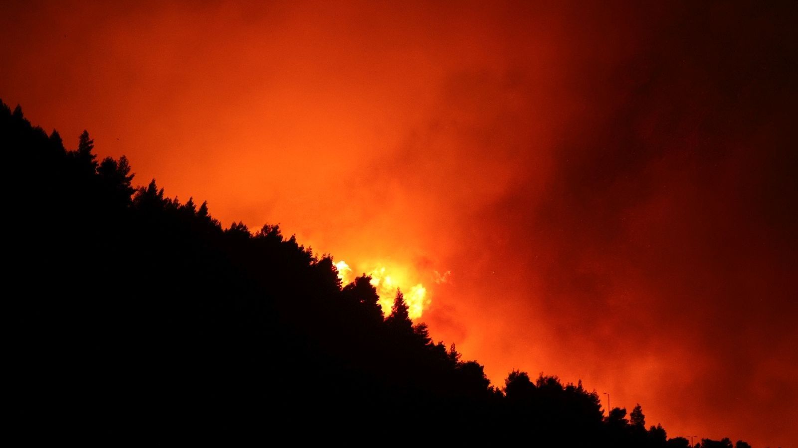 Stigle nove informacije o požarištu u Lokvi Rogoznici, poznato i koliko je površine zahvaćeno