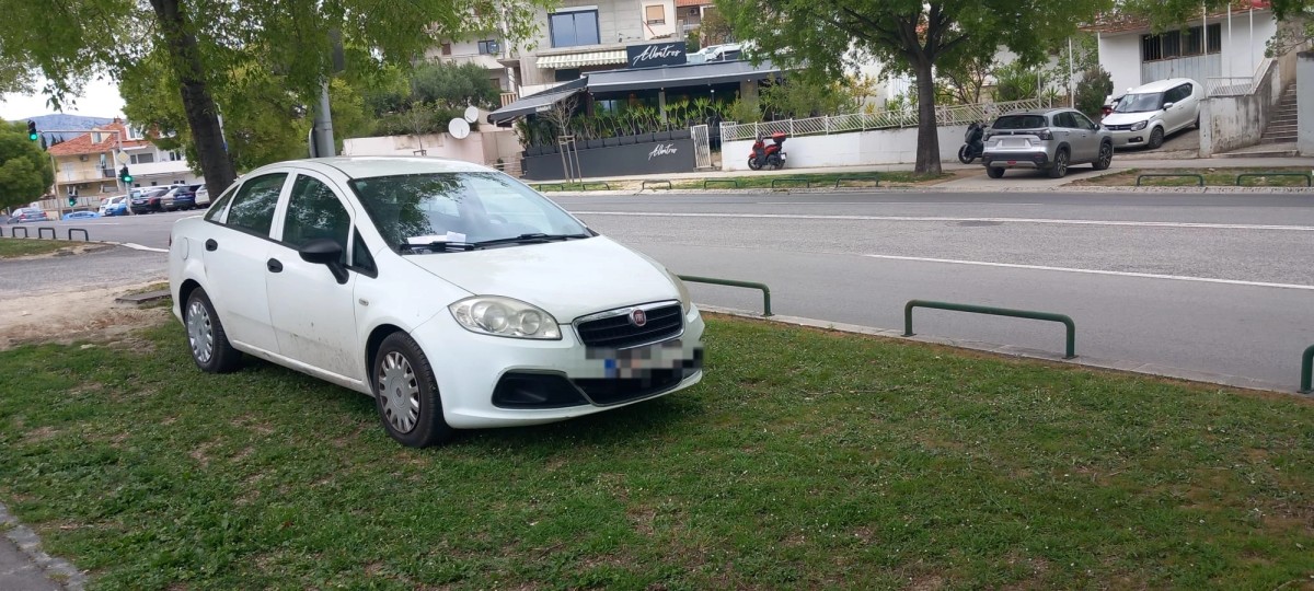 PRST U OKO Vlasnik nepropisno parkirao vozilo na zelenoj površini, no imao je 'sreće'