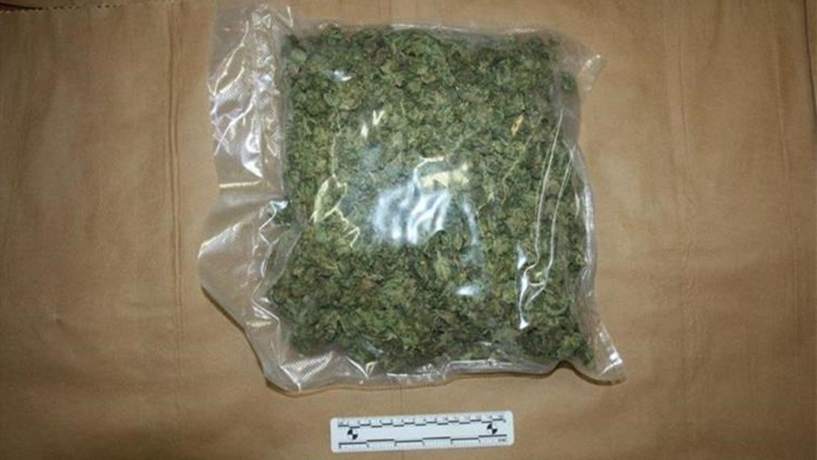 Na području Zadra oduzeti kokain, marihuana, ecstasy i halucinogene gljive