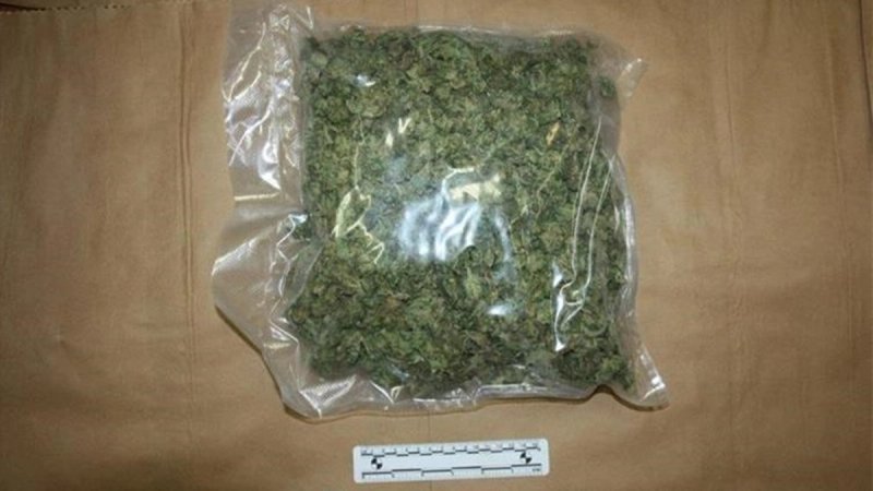 Na području Zadra oduzeti kokain, marihuana, ecstasy i halucinogene gljive