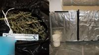 Pronađeno više od dva kilograma suhog lišća i grana marihuane