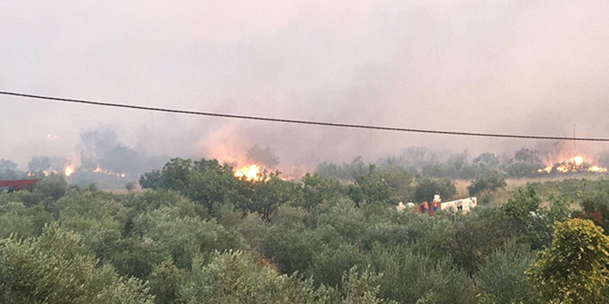 UŽIVO Na Mosoru visoko iznad Korešnice je još uvijek aktivan požar, uz vatrogasce je oko 500 vojnika