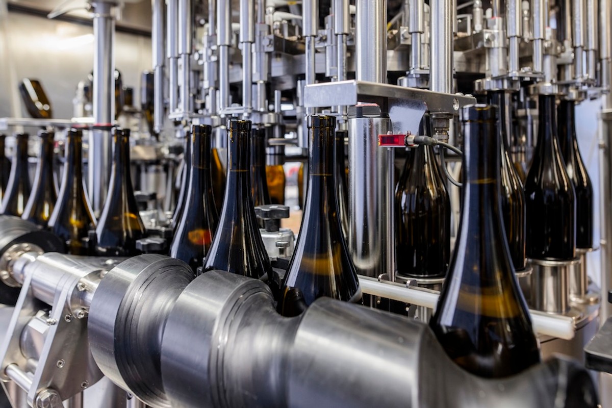 FOTO Vinarija Markus odradila je prvu berbu na Šolti: Kadrovi su impresivni