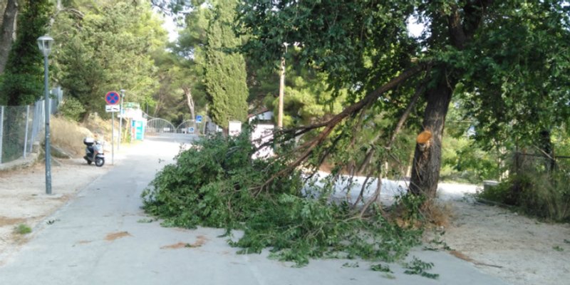 NEVRIJEME Bura čupa stabla po Splitu