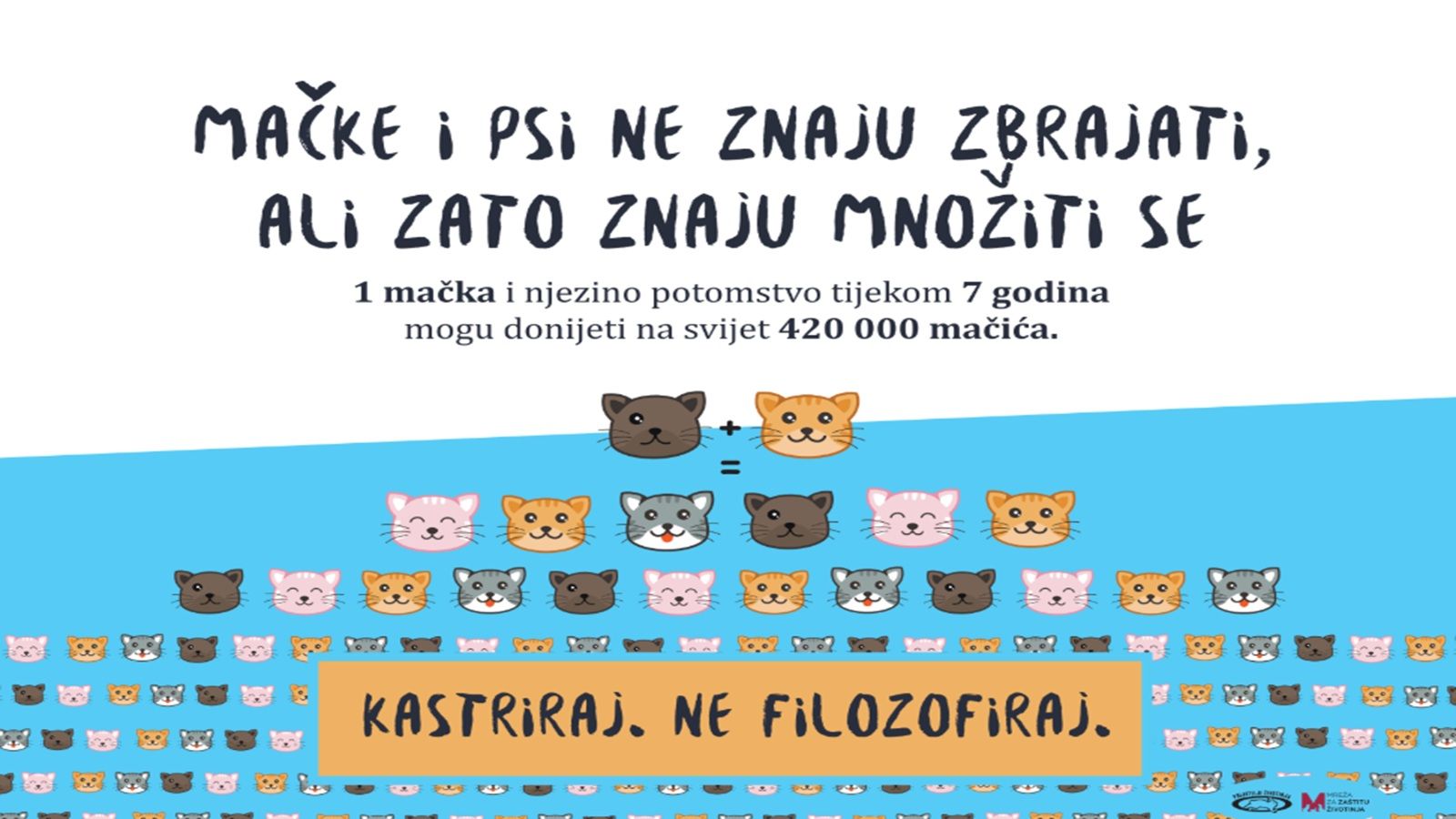 PRIJATELJI ŽIVOTINJA: Kastracija spašava ulične mačke od patnje i prerane smrti!