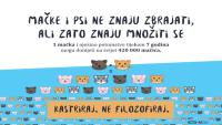 PRIJATELJI ŽIVOTINJA: Kastracija spašava ulične mačke od patnje i prerane smrti!