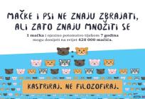 PRIJATELJI ŽIVOTINJA: Kastracija spašava ulične mačke od patnje i prerane smrti!