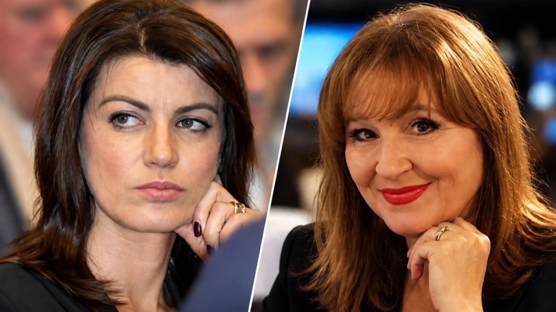 Bivša istaknuta HDZ-ovka: I što sad, pojeo vuk magarca? Nažalost, biti lopov i varalica nije minus u Hrvatskoj