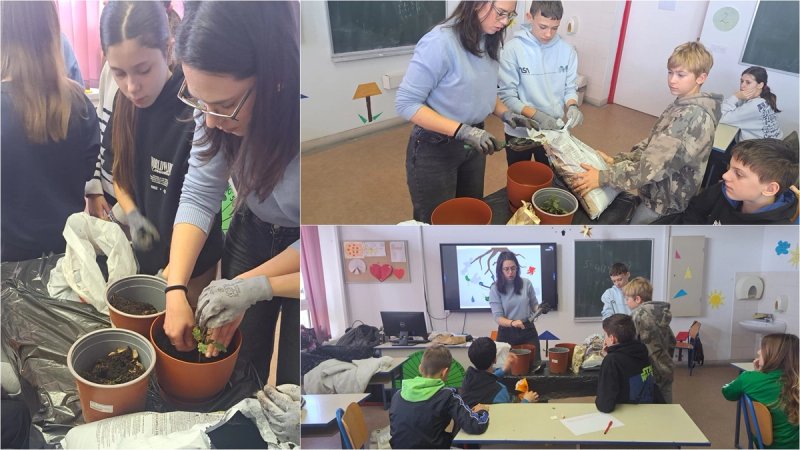 Argonauta pokreće projekt za promociju biougljena i održive poljoprivrede