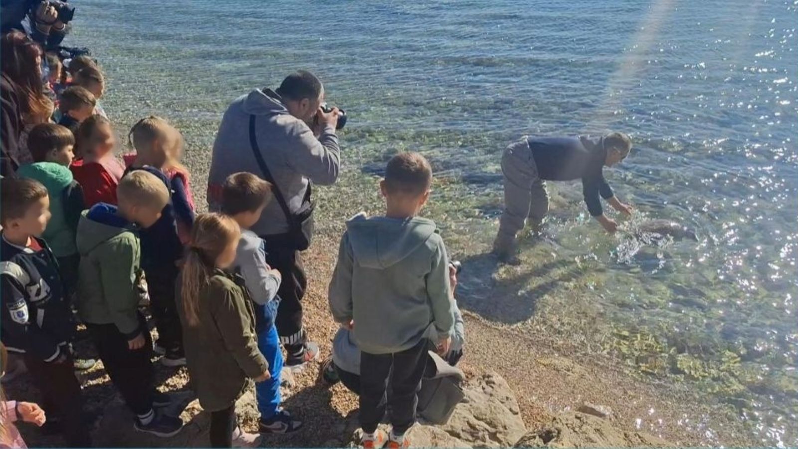 LIJEPI PRIZORI U DALMACIJI Frane, strogo zaštićena glavata želva, spašen i vraćen u more