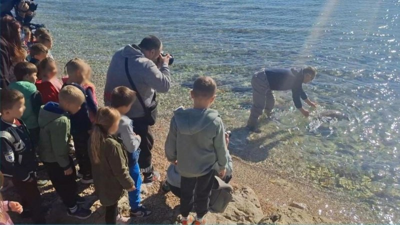 LIJEPI PRIZORI U DALMACIJI Frane, strogo zaštićena glavata želva, spašen i vraćen u more