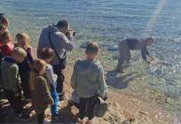 LIJEPI PRIZORI U DALMACIJI Frane, strogo zaštićena glavata želva, spašen i vraćen u more