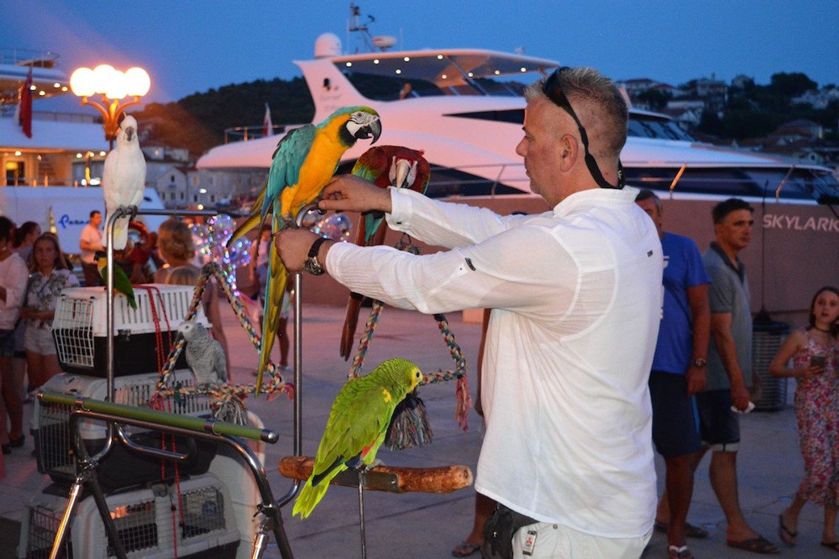 Ljetni đir | Foto: Radomir Đurđević