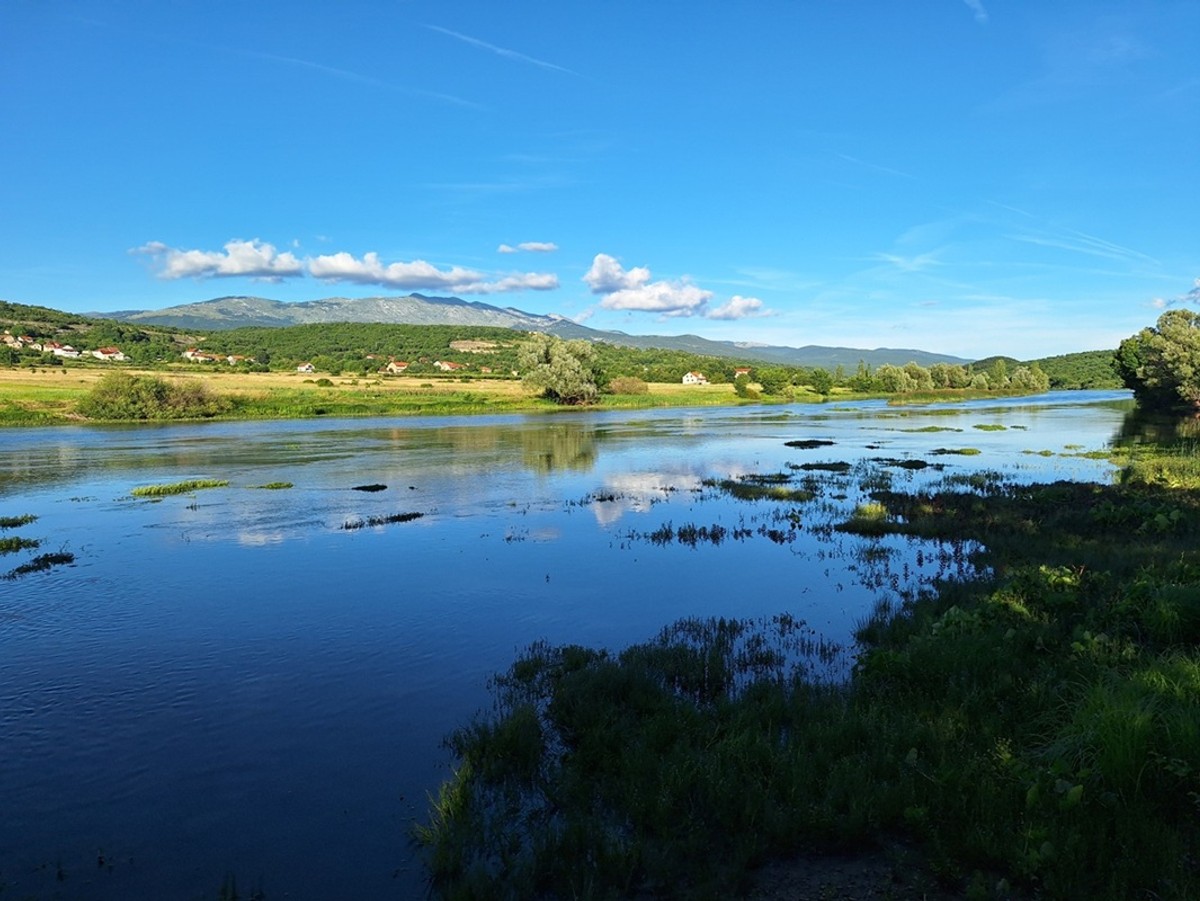Udruge podnose tužbu protiv Ministarstva: Projekt solarne elektrane 'Gala – Obrovac Sinjski' ide na sud