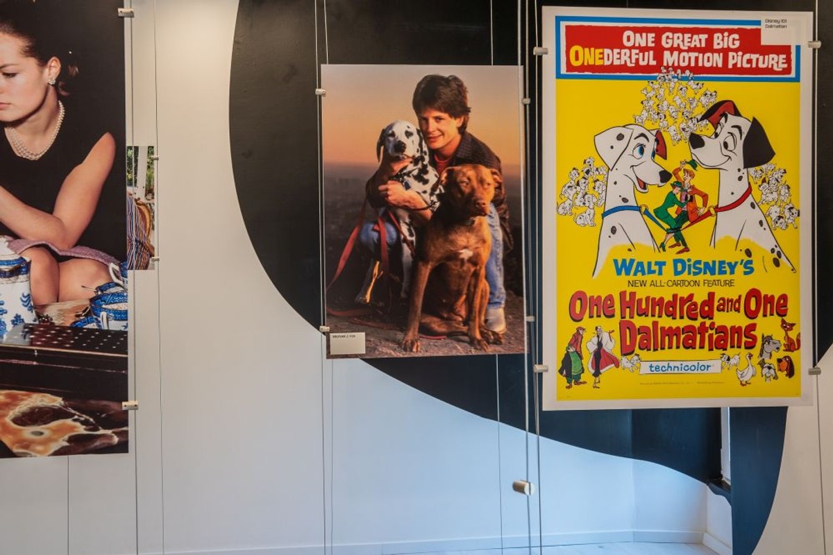 Kuća dalmatinskog psa | foto: Igor Pavlović