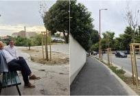 Splitski kvart dobio deset novih stabala, stižu nove klupe i sadnja lovora
