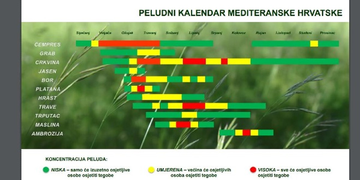 Provjerite na što ste alergični u novom peludnom kalendaru