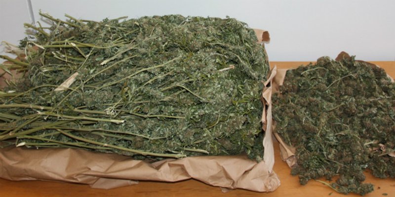 O ČEMU GOVORI BANOŽIĆ S pet kila marihuane uhvaćen je vojnik kod Sinja 