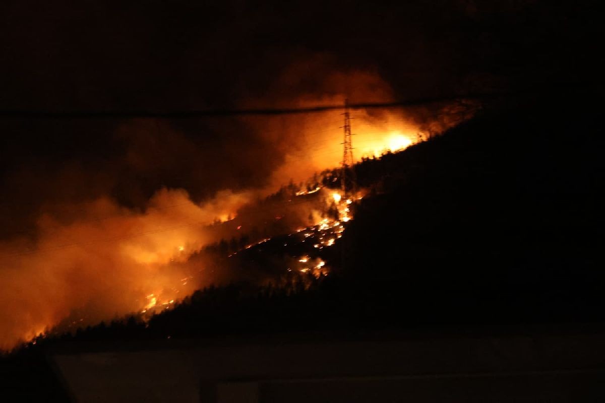 VIDEO: Gori šuma na području Solina