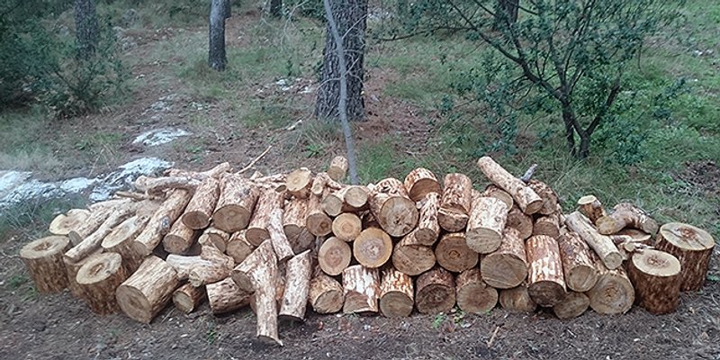 Robert Koharević: Ne bojte se, Marjan neće postati golo brdo!