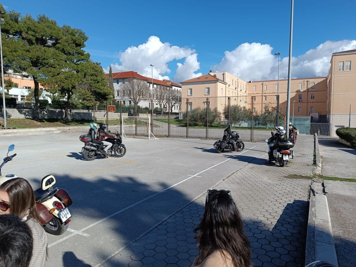 Vuk samotnjak za Dyxy